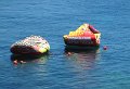 IMG_3149