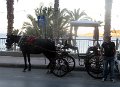 IMG_3331