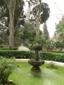 IMG_3066