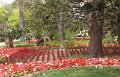 IMG_6331