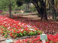 IMG_6333