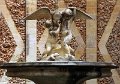 IMG_6336